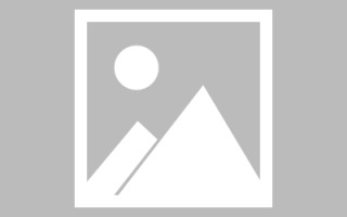 琼中招聘官网网页设计教程（招聘官网网页设计教程下载）